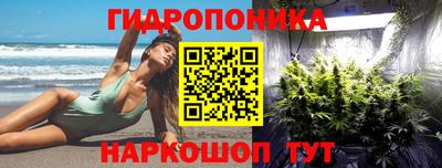 соль ск Пушкино